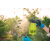 Gardenblast Precision 2L Drucksprüher für Pflanzenschutz und Insektenbekämpfung